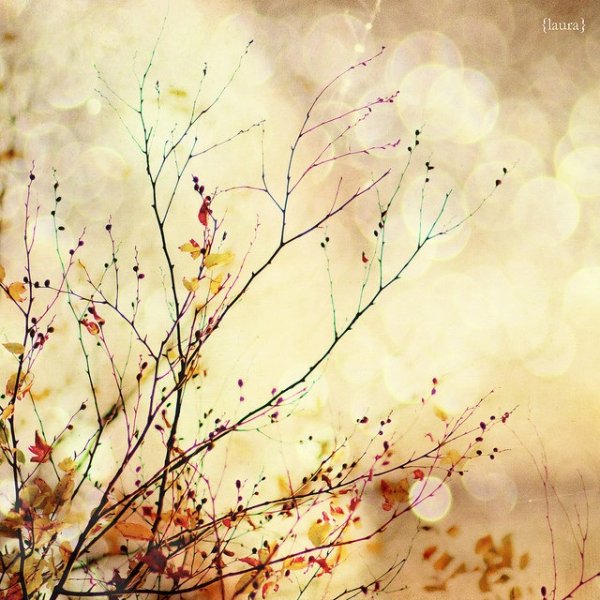 Нежные картины осень