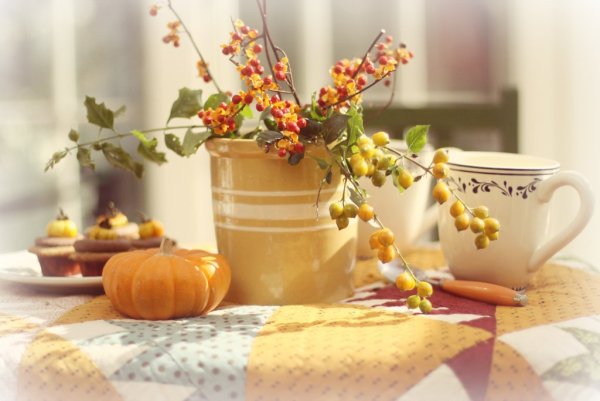 Нежная осень