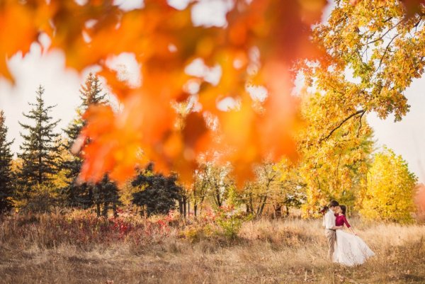 Красивая теплая осень