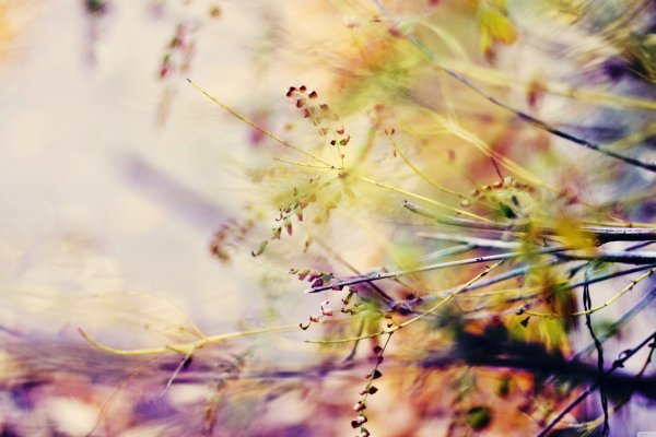 Природа в пастельных тонах