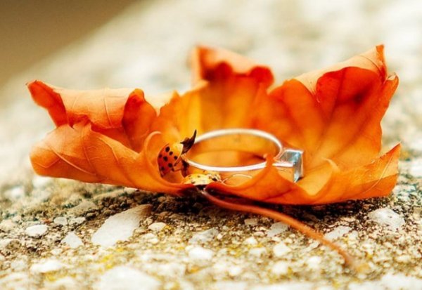 Осень любовь нежность