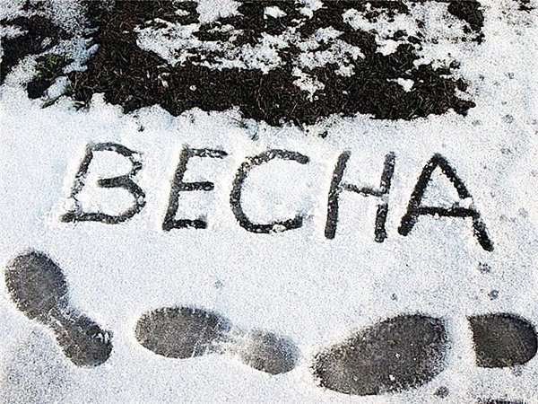 Снег весной приколы