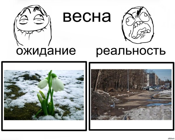 Мемы про весну
