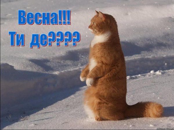 Весна скоро придет