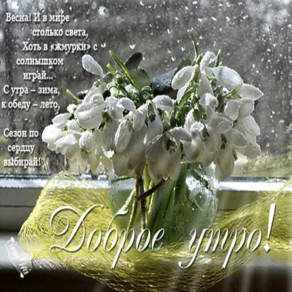 Доброе у РО С Подснежн ками