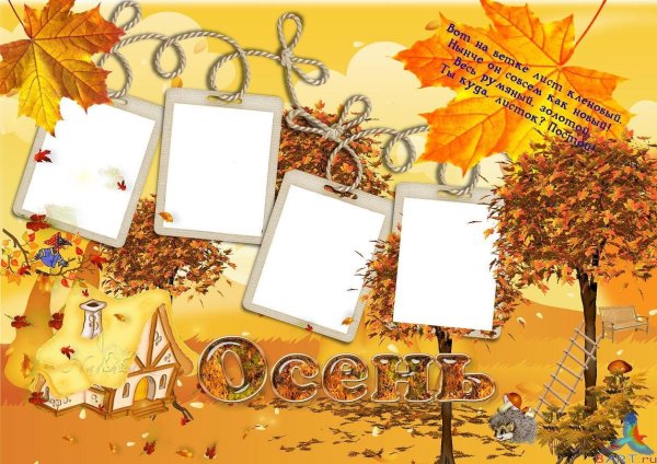Рамка для коллажа осень