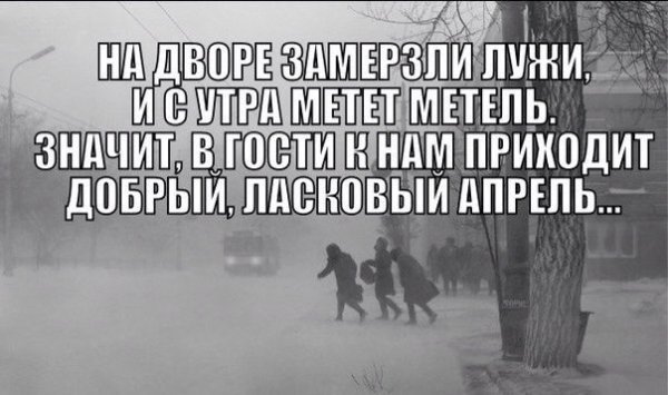 Апрель высказывания смешные