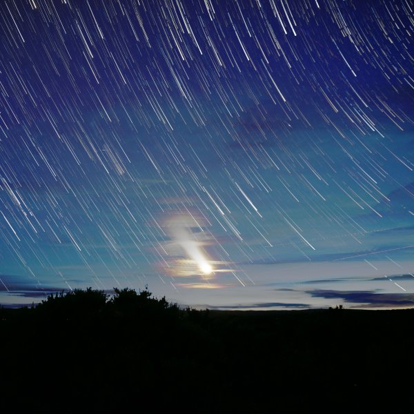 Ночь звезды дождь
