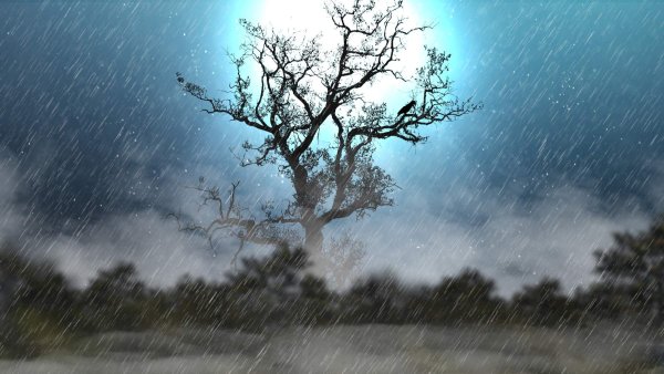 Луна и дождь картинки