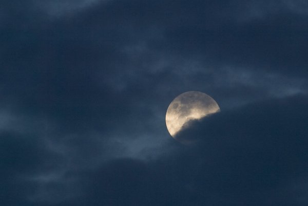 Ливень и Луна