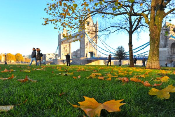 Парк Лондона гайд парк осень