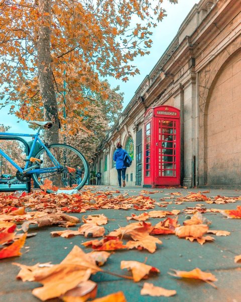 Осень в Лондоне