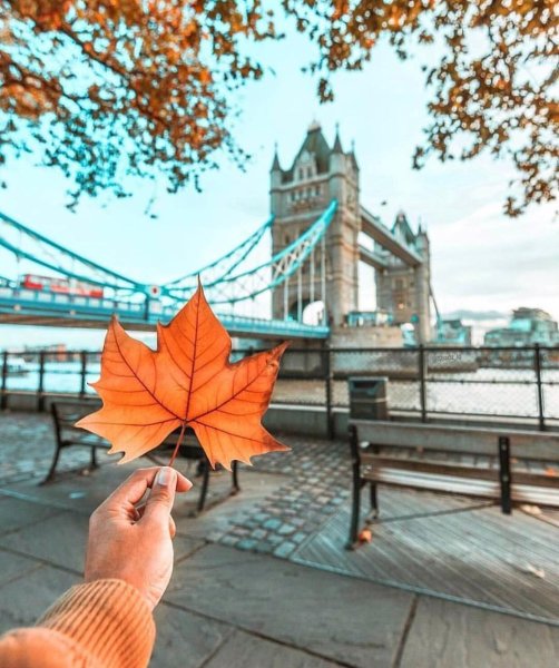 Осень в Лондоне