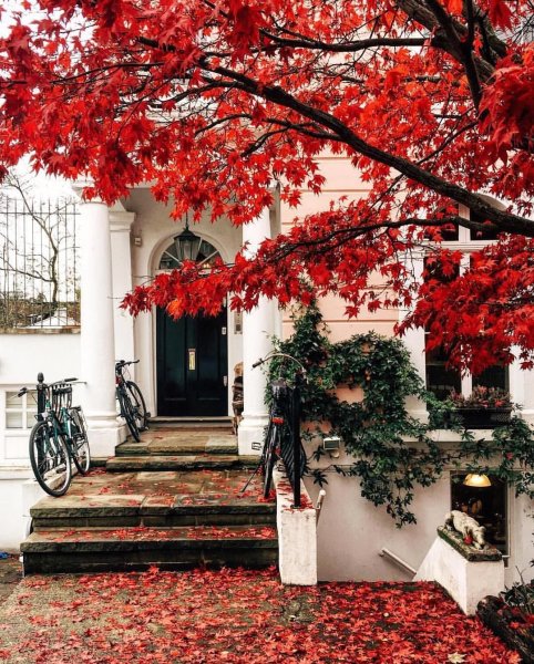 Англия осенью