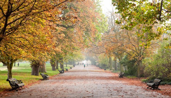 Осень в Лондоне