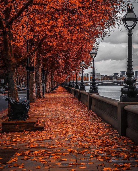 Осень в городе