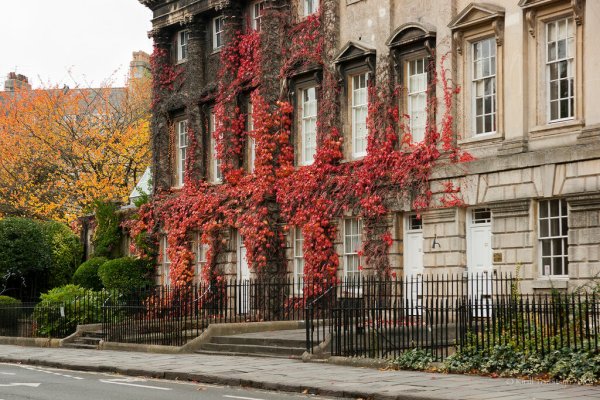 Оксфорд Англия город осень