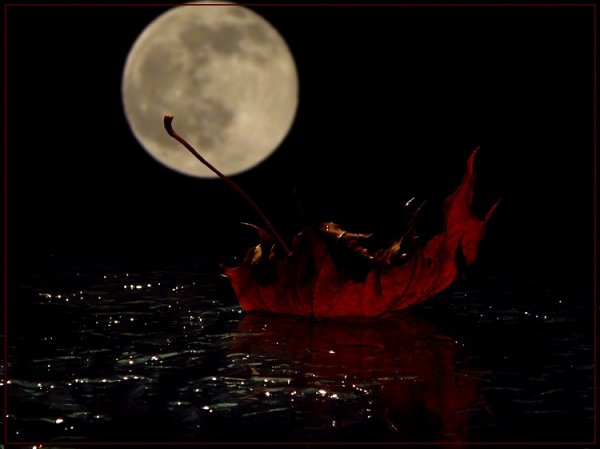 Дождь и полнолуние