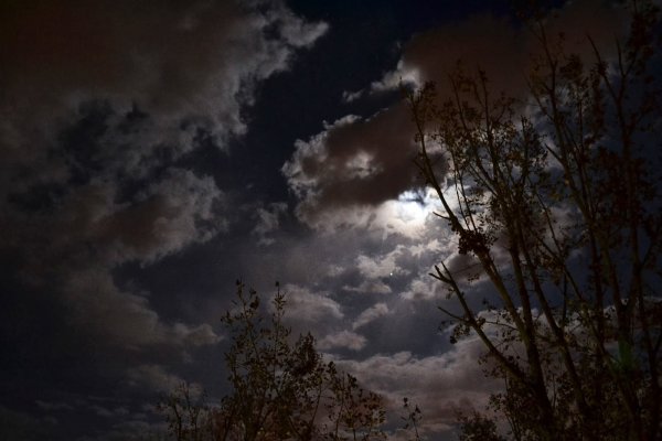 Пасмурная ночь