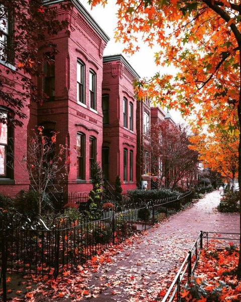 Осенняя улица