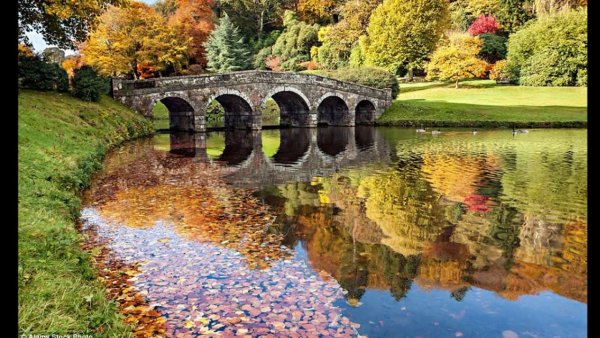 Осенние пейзажи Англии