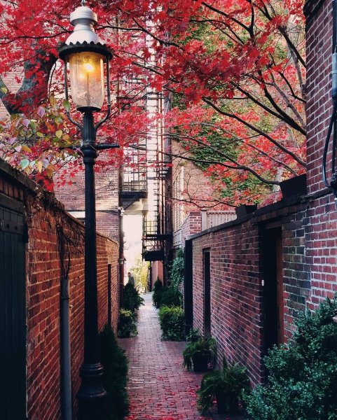 Эстетика осеннего Лондона