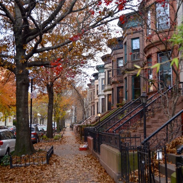 Нью Йорк Бруклин Мидвуд билдиг