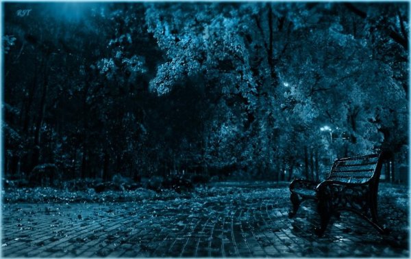 Холодная осенняя ночь