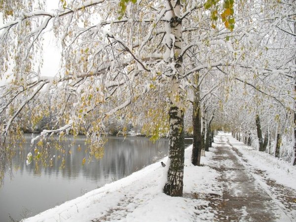 Валерий Яковлевич Брюсов первый снег