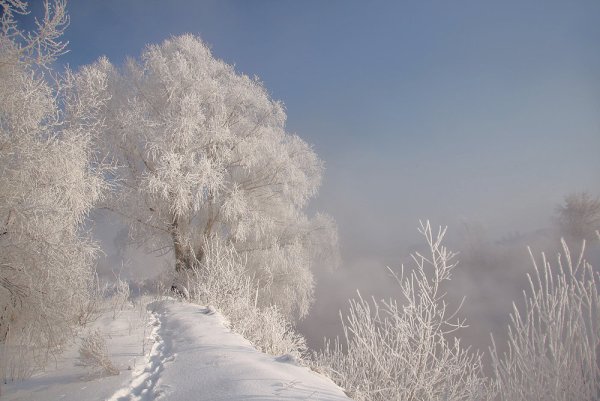 Валерий Брюсов первый снег