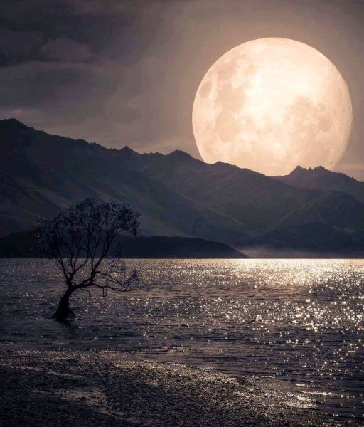 Мунлайт Луна