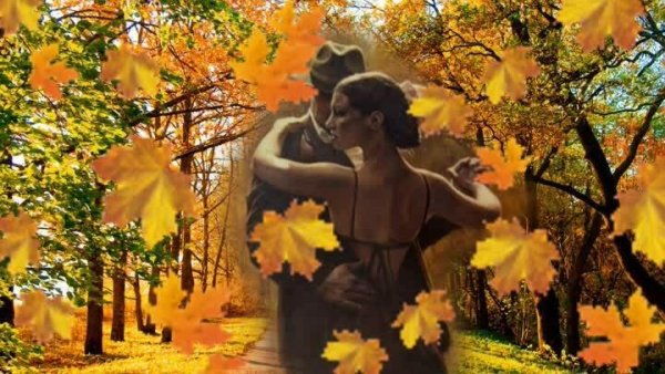 Осеннее танго 1538-8 осеннее танго