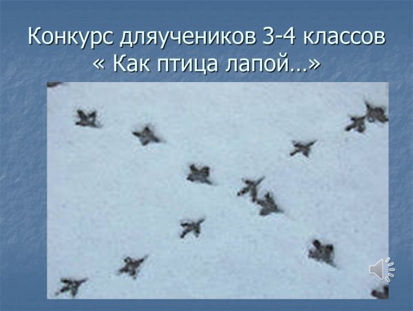 Серая куропатка следы