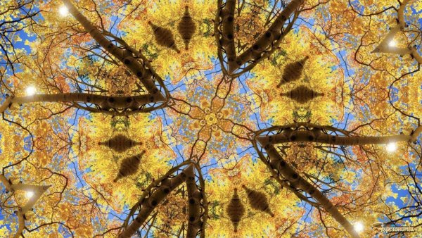 Калейдоскоп осени