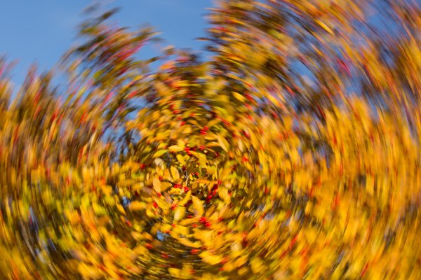 Калейдоскоп осени