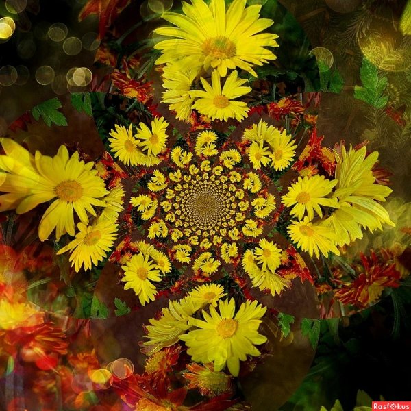 Калейдоскоп осени