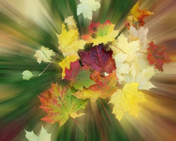 Осенний бал