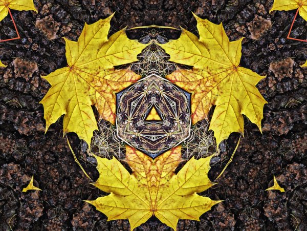 Осенний Калейдоскоп