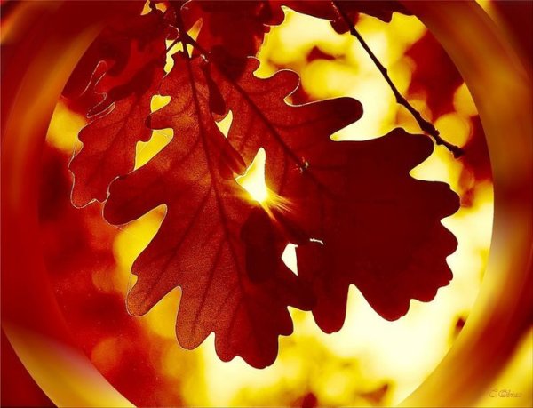 Красота осеннего равноденствия