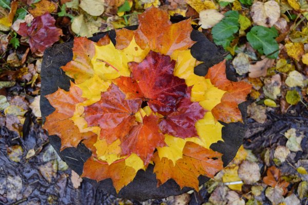 Осенний Калейдоскоп