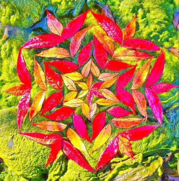 Мандала осенние листья Данмала