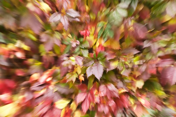 Фото осенний Калейдоскоп в цветах