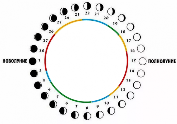 Лунный календарь схема