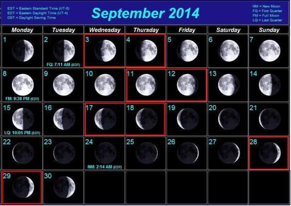 Какая сегодня Луна