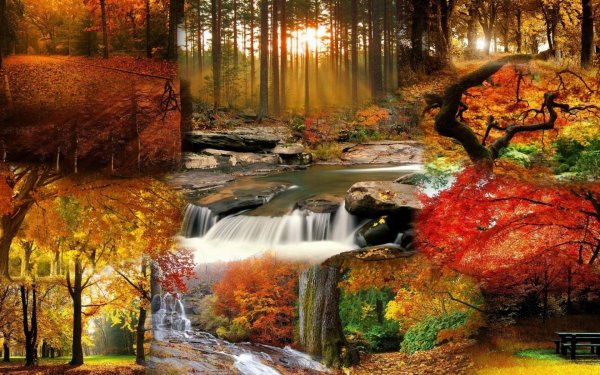 Обои с осенью на рабочий стол