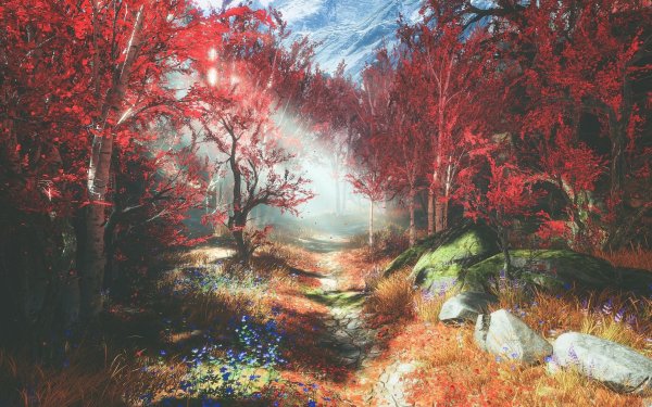 Красивые арты природы