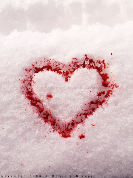 Сердце на снегу