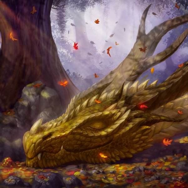 Драконы осенью