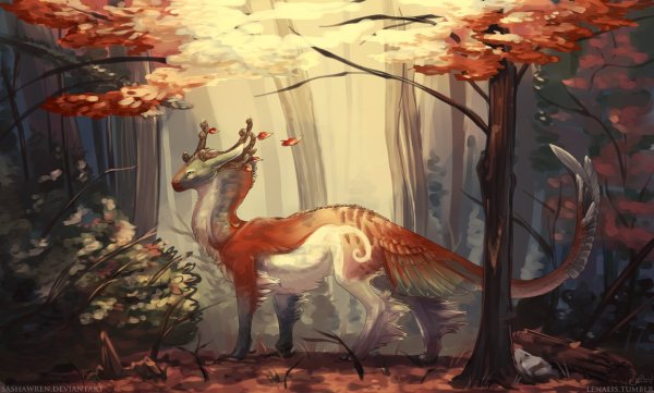 Драконы осенью