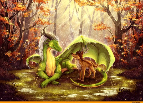 Осенний дракон